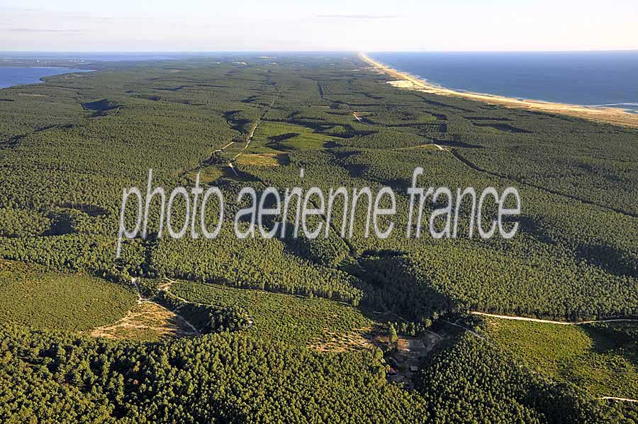 40foret-des-landes-17-0708