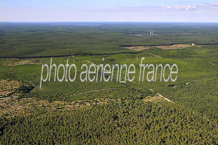 40foret-des-landes-2-0708