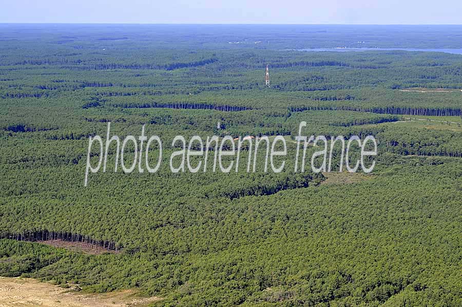 40foret-des-landes-23-0708