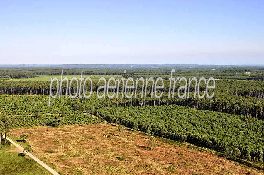 40foret-des-landes-24-0708