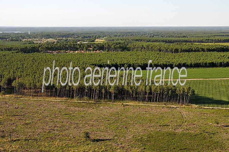 40foret-des-landes-28-0708