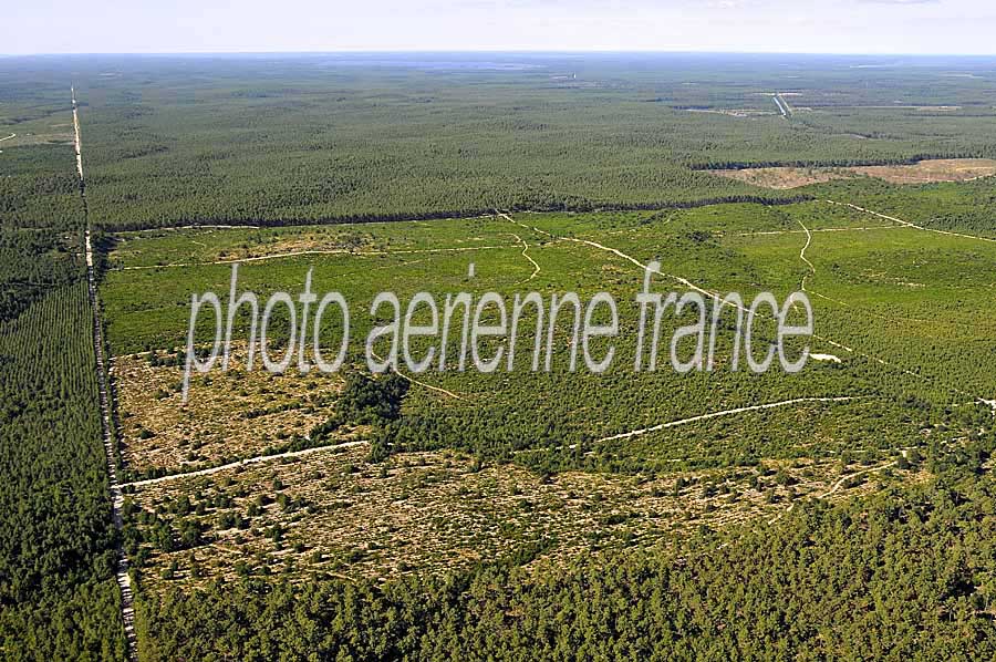 40foret-des-landes-3-0708