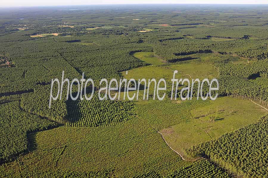 40foret-des-landes-32-0708