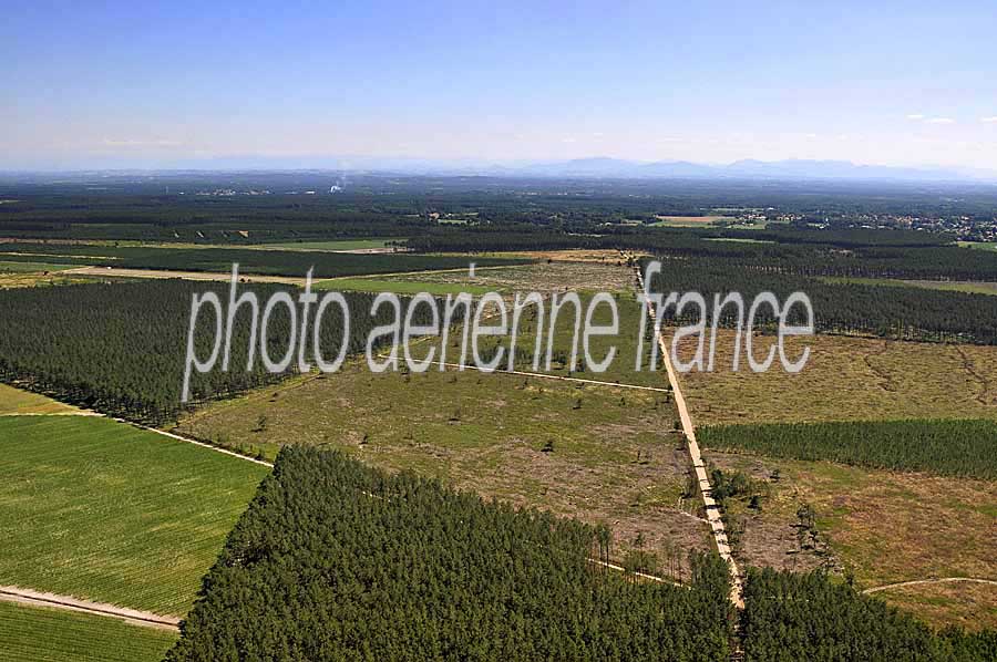 40foret-des-landes-4-0708