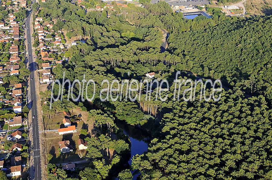 40foret-des-landes-47-0708