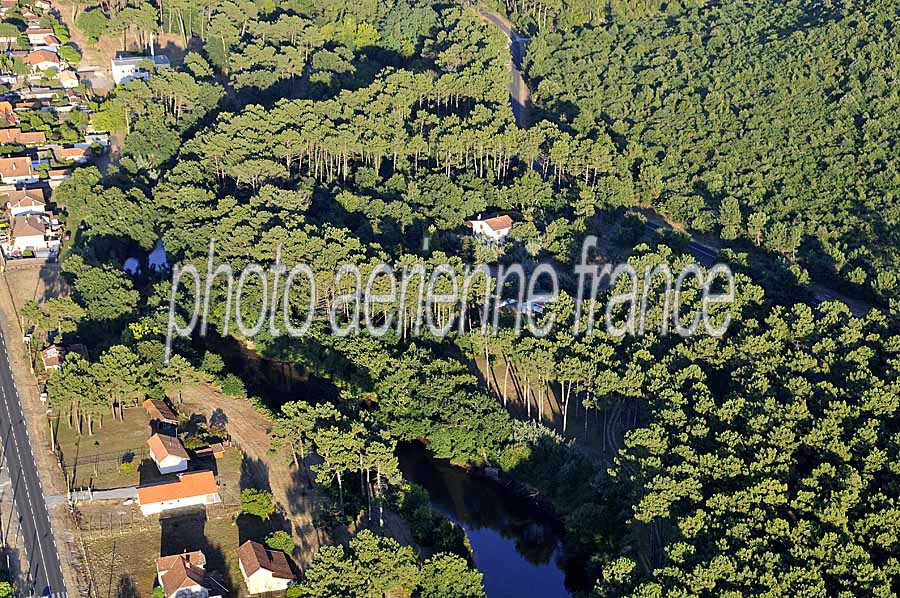 40foret-des-landes-48-0708