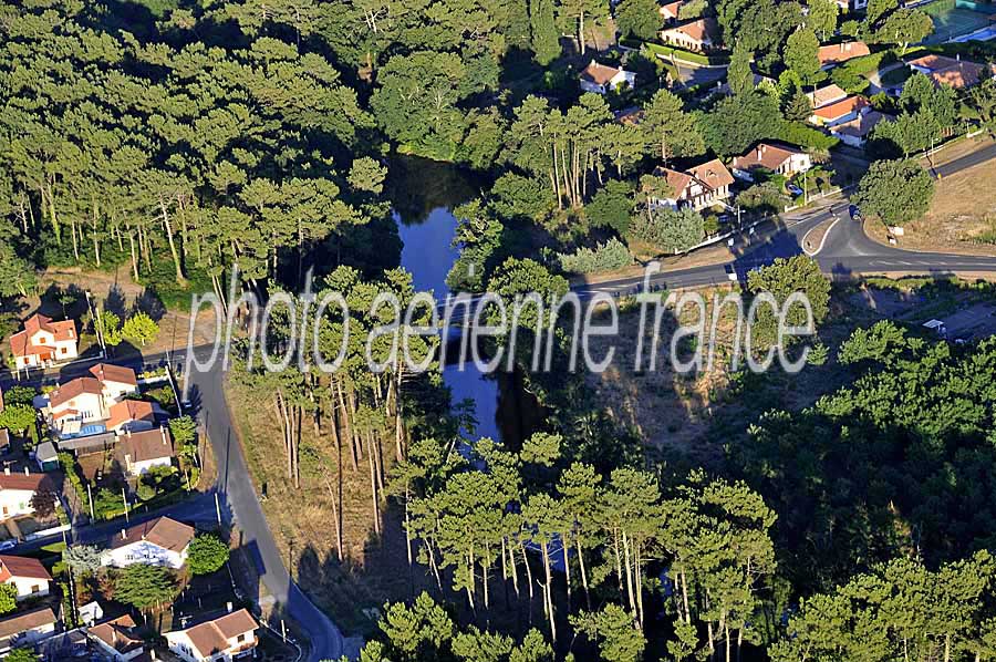 40foret-des-landes-53-0708