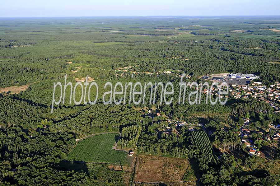 40foret-des-landes-54-0708