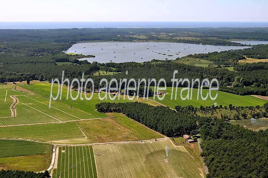 40foret-des-landes-6-0708