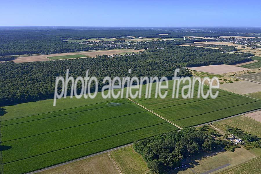 41agriculture-loir-et-cher-107-0720