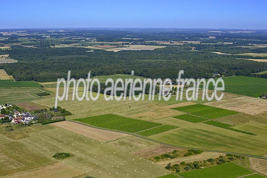 41agriculture-loir-et-cher-117-0720