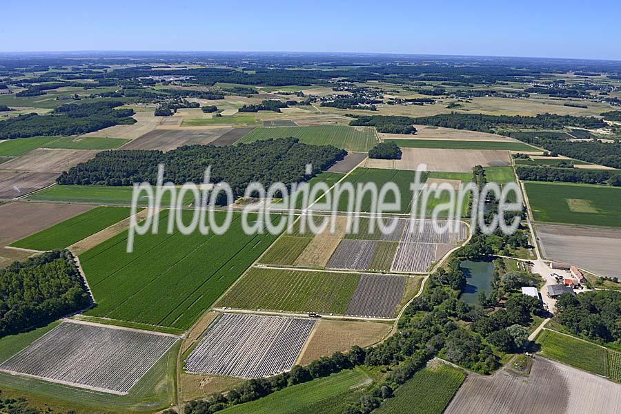 41agriculture-loir-et-cher-29-0720