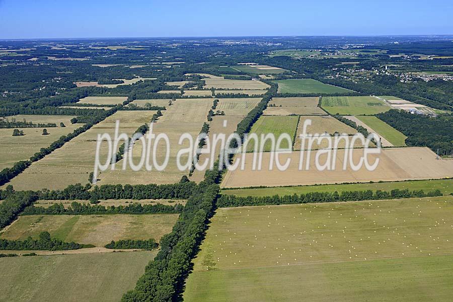 41agriculture-loir-et-cher-42-0720