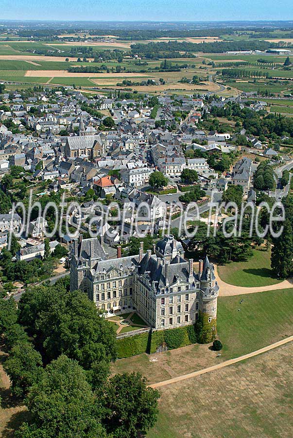 49brissac-quince-10-0704