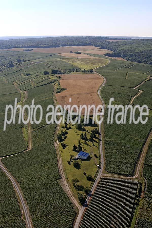 51vigne-champagne-4-1111