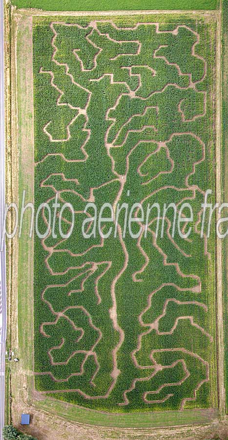 60labyrinthe-mais-0508