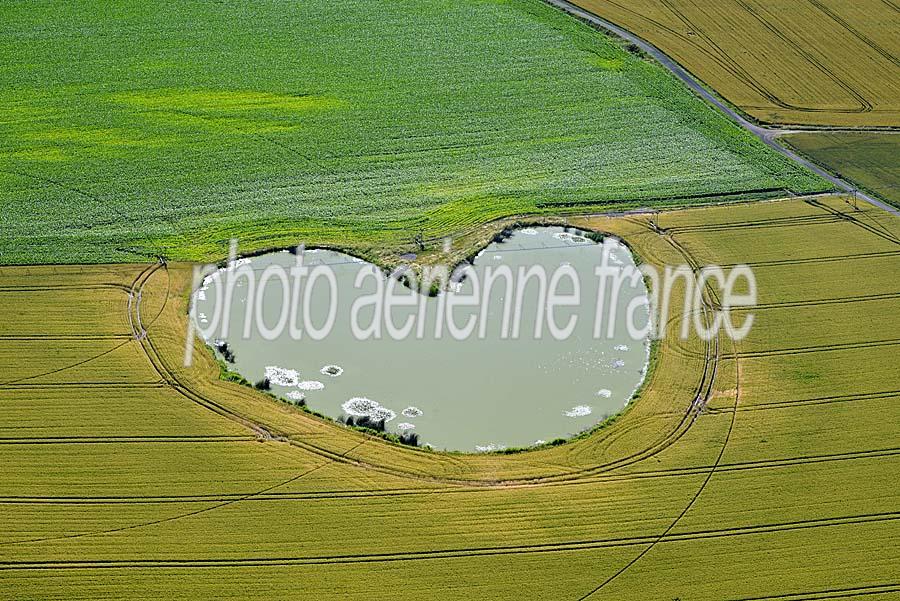 63agriculture-auvergne-5-0618