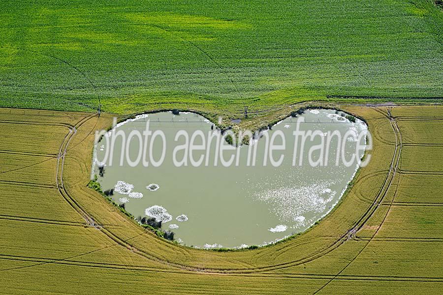 63agriculture-auvergne-6-0618