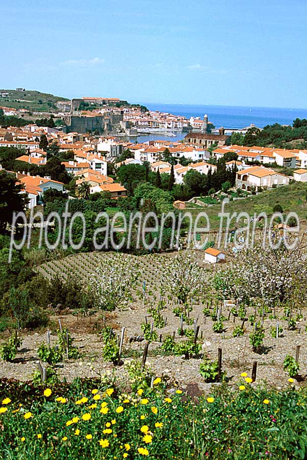 66collioure-1-e02