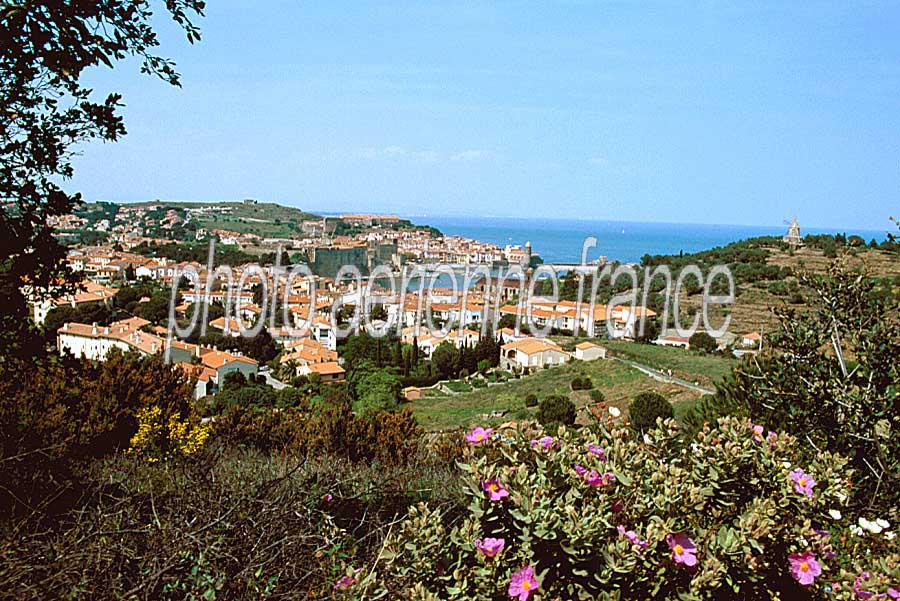 66collioure-6-e02