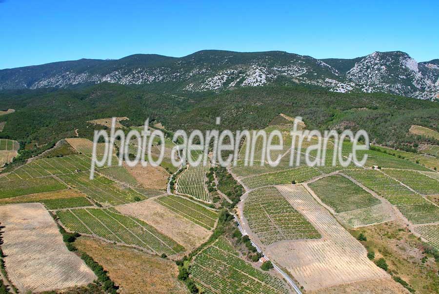 66vigne-corbieres-2-0806