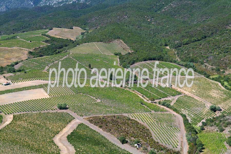 66vigne-corbieres-3-0806