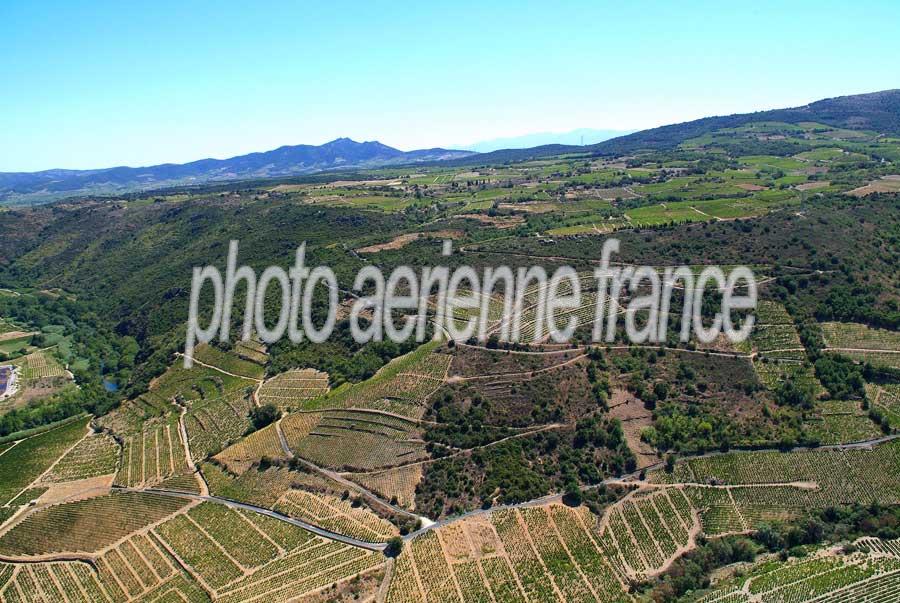 66vigne-corbieres-7-0806