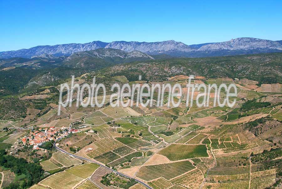 66vigne-corbieres-8-0806