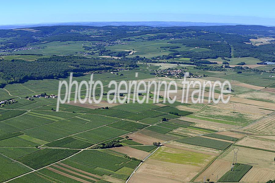 71agriculture-saone-et-loire-11-0816