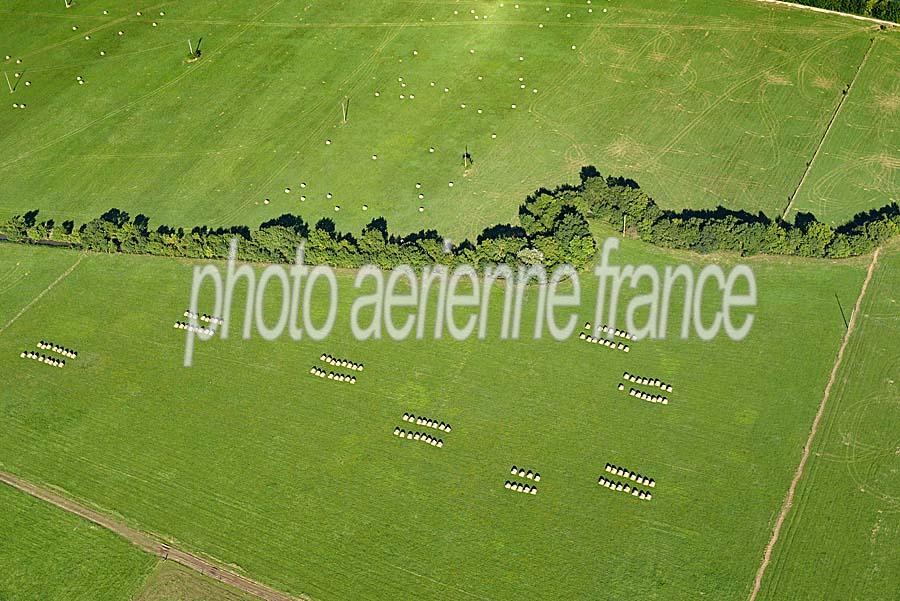 71agriculture-saone-et-loire-35-0816