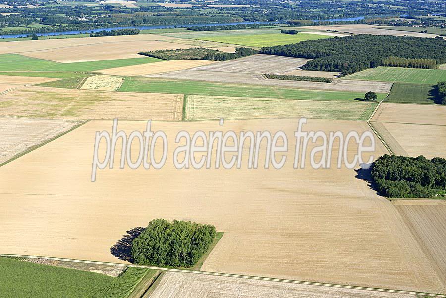 71agriculture-saone-et-loire-46-0816