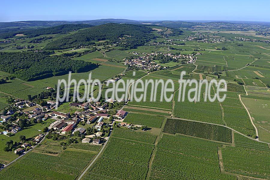 71viticulture-saone-et-loire-11-0816