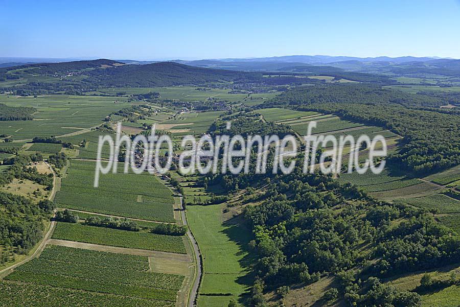 71viticulture-saone-et-loire-2-0816