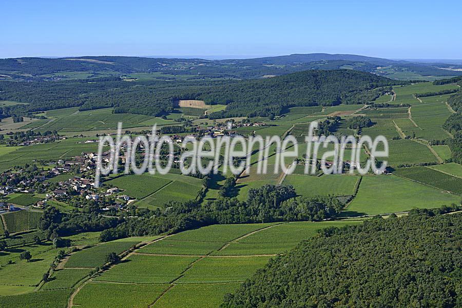 71viticulture-saone-et-loire-7-0816