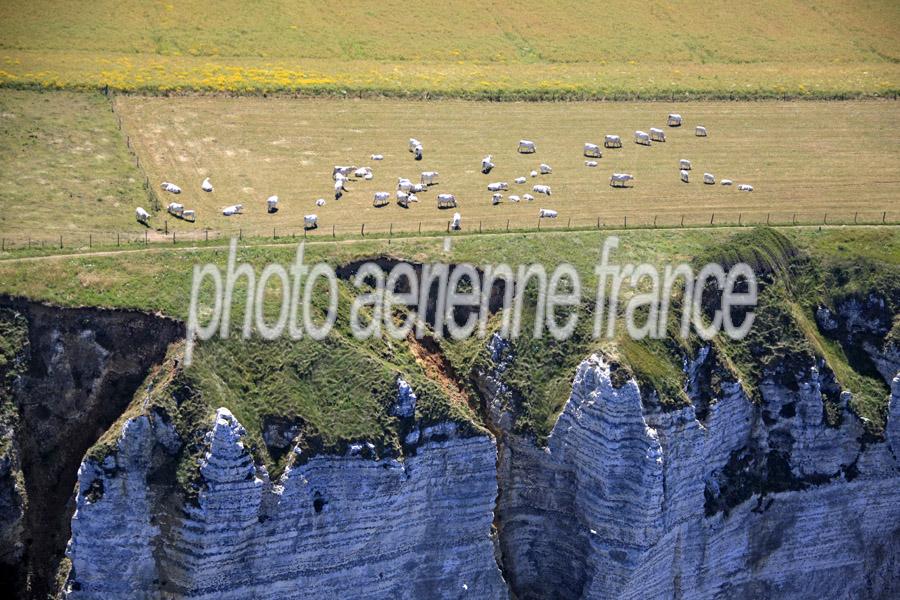 76etretat-1-0710