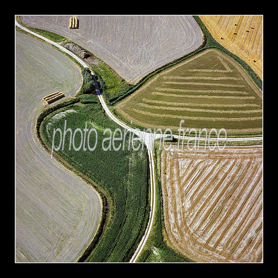 80agriculture-1-0306