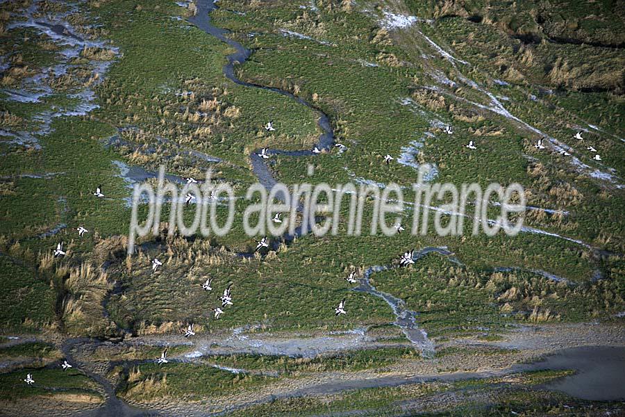 80baie-de-somme-2-0110