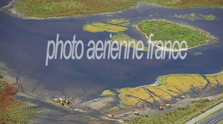 80baie-de-somme-2-0709