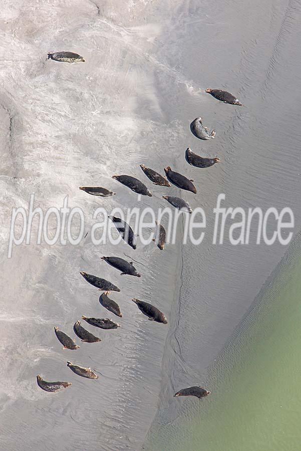 80baie-de-somme-41-0808