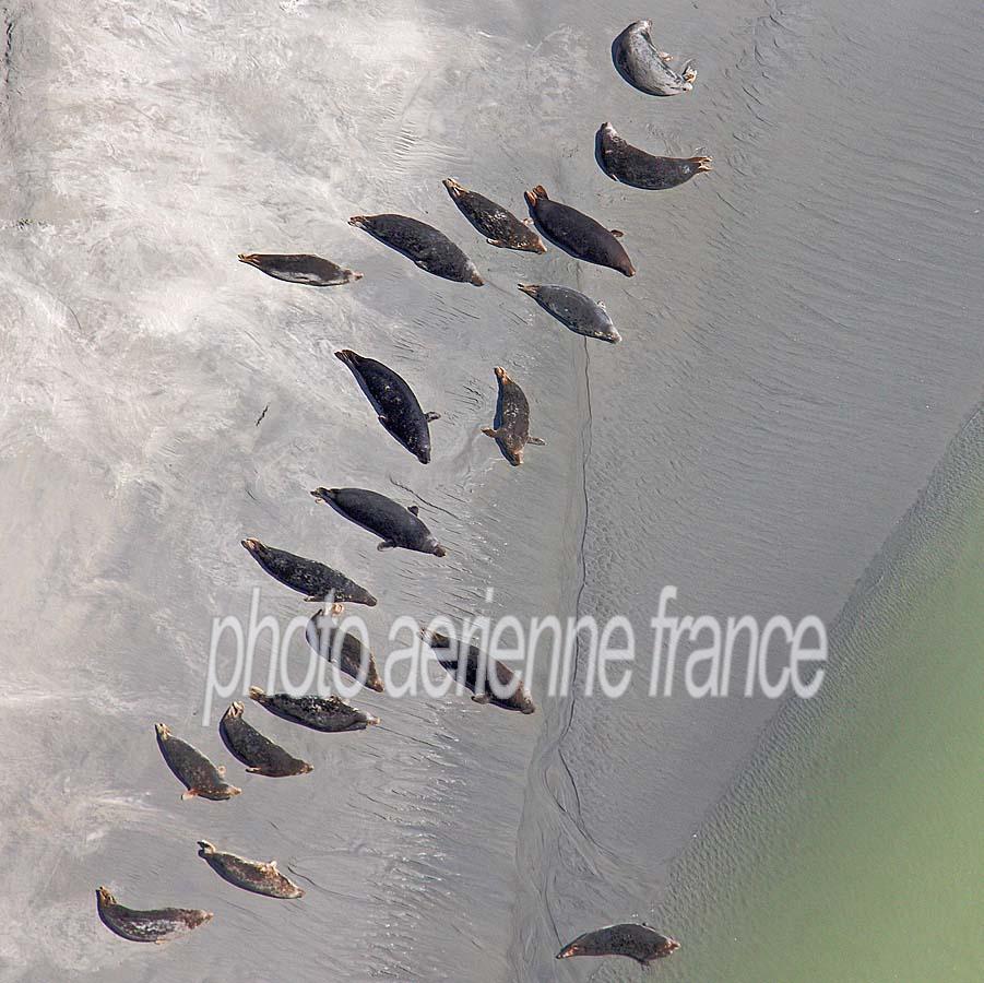 80baie-de-somme-42-0808