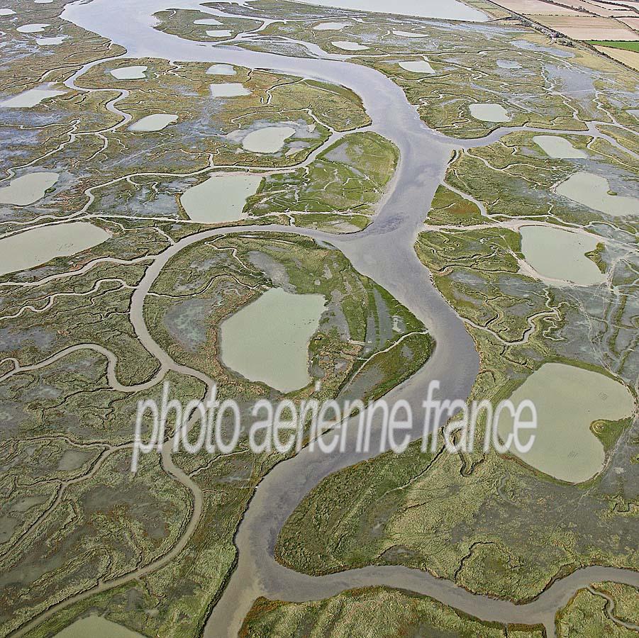 80baie-de-somme-49-0808