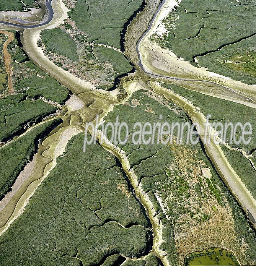 80baie-de-somme-52-0808