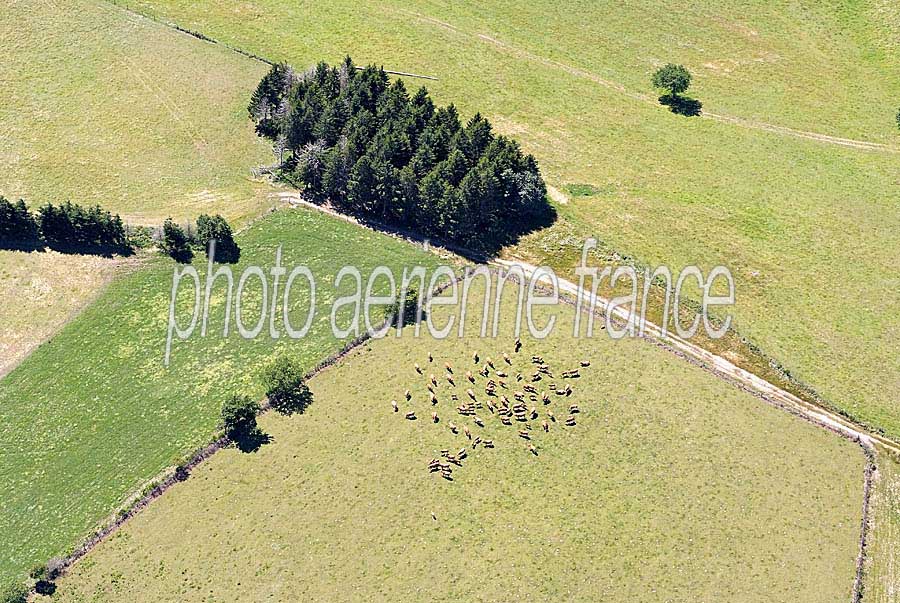 81agriculture-tarn-19-0707