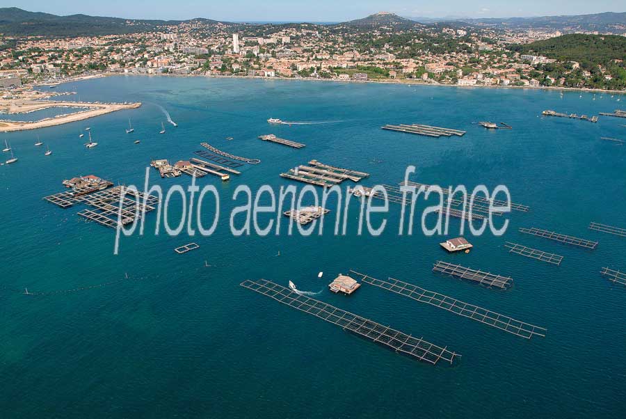 83la-seyne-sur-mer-55-0704