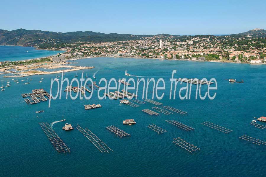 83la-seyne-sur-mer-57-0704