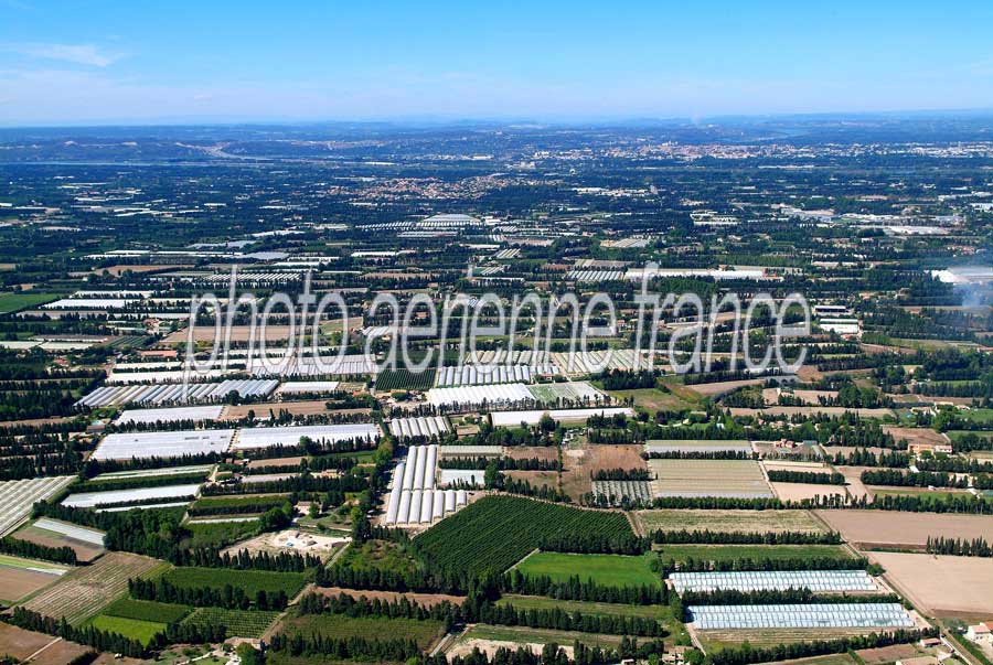 84agriculture-vaucluse-1-0806