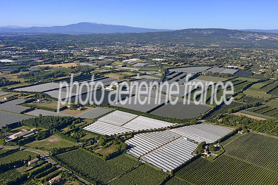 84agriculture-vaucluse-10-0717