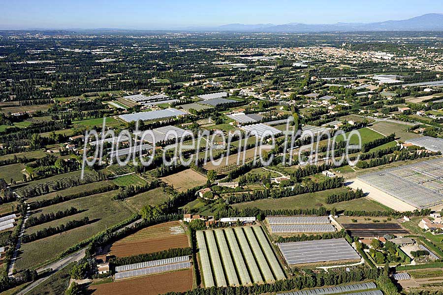 84agriculture-vaucluse-13-0911