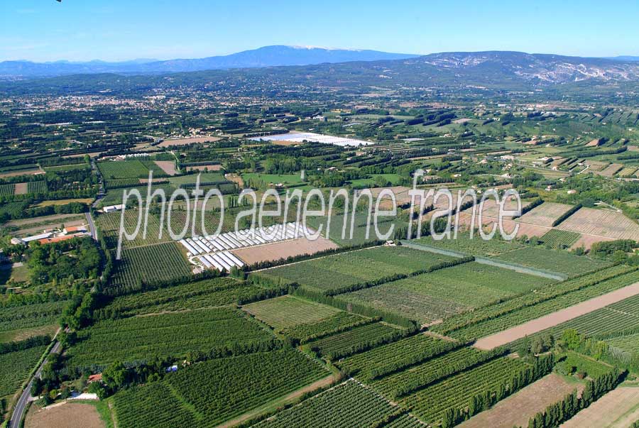 84agriculture-vaucluse-20-0806