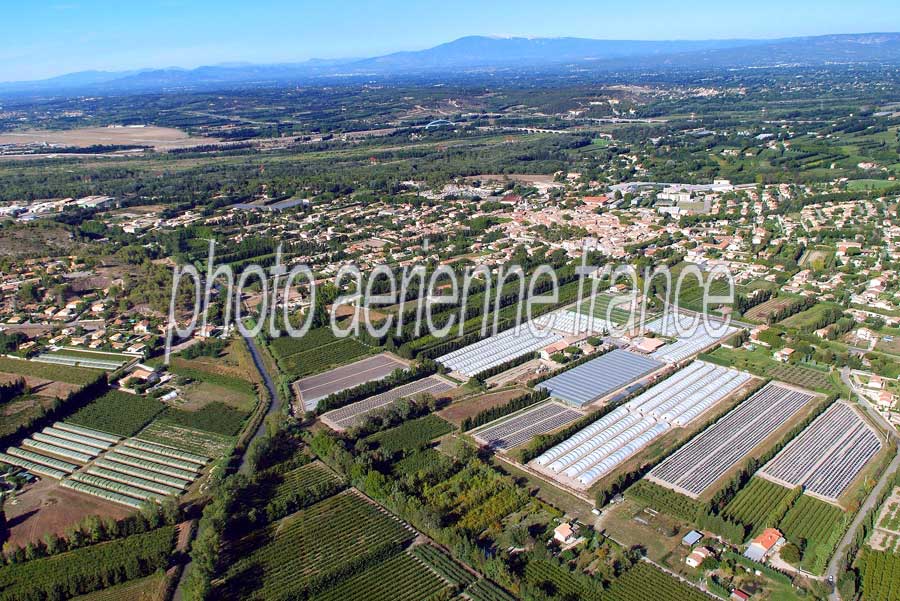 84agriculture-vaucluse-25-0806